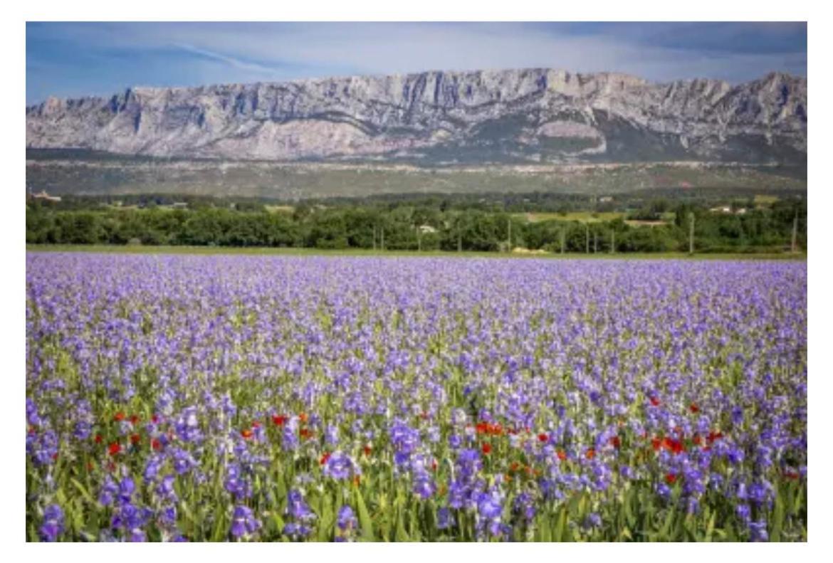 Aix-En-Provence, Cosy Studio Proche Toutes Commodites, Linges Fournis Exteriér fotografie